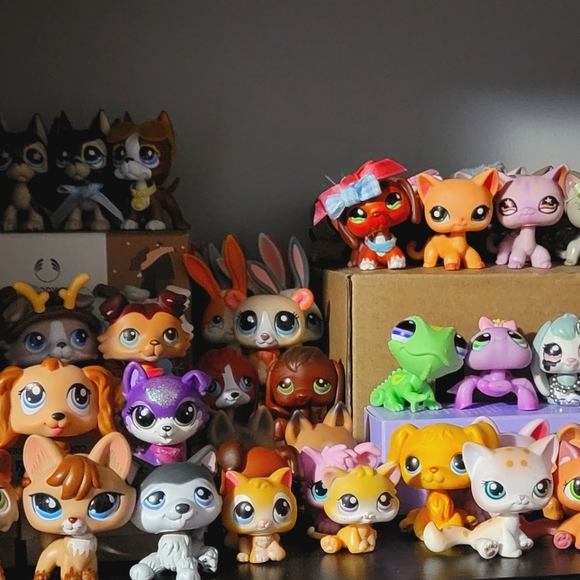 Meet your Posher, Lex - Picture 1 of 1